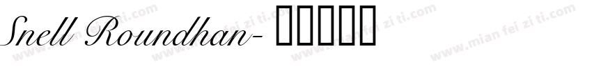 Snell Roundhan字体转换